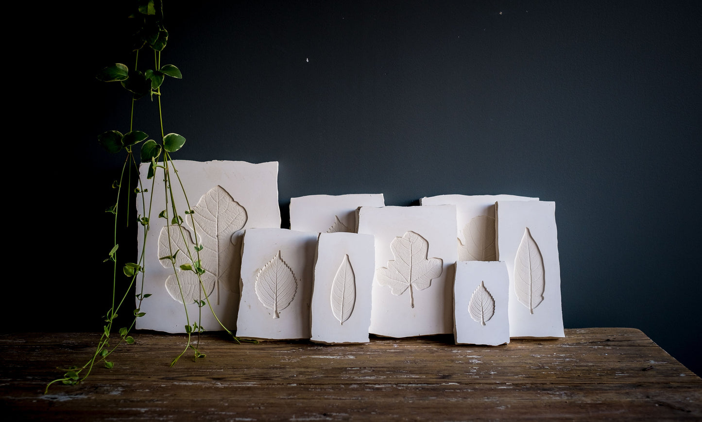 Empreinte - Feuille 2