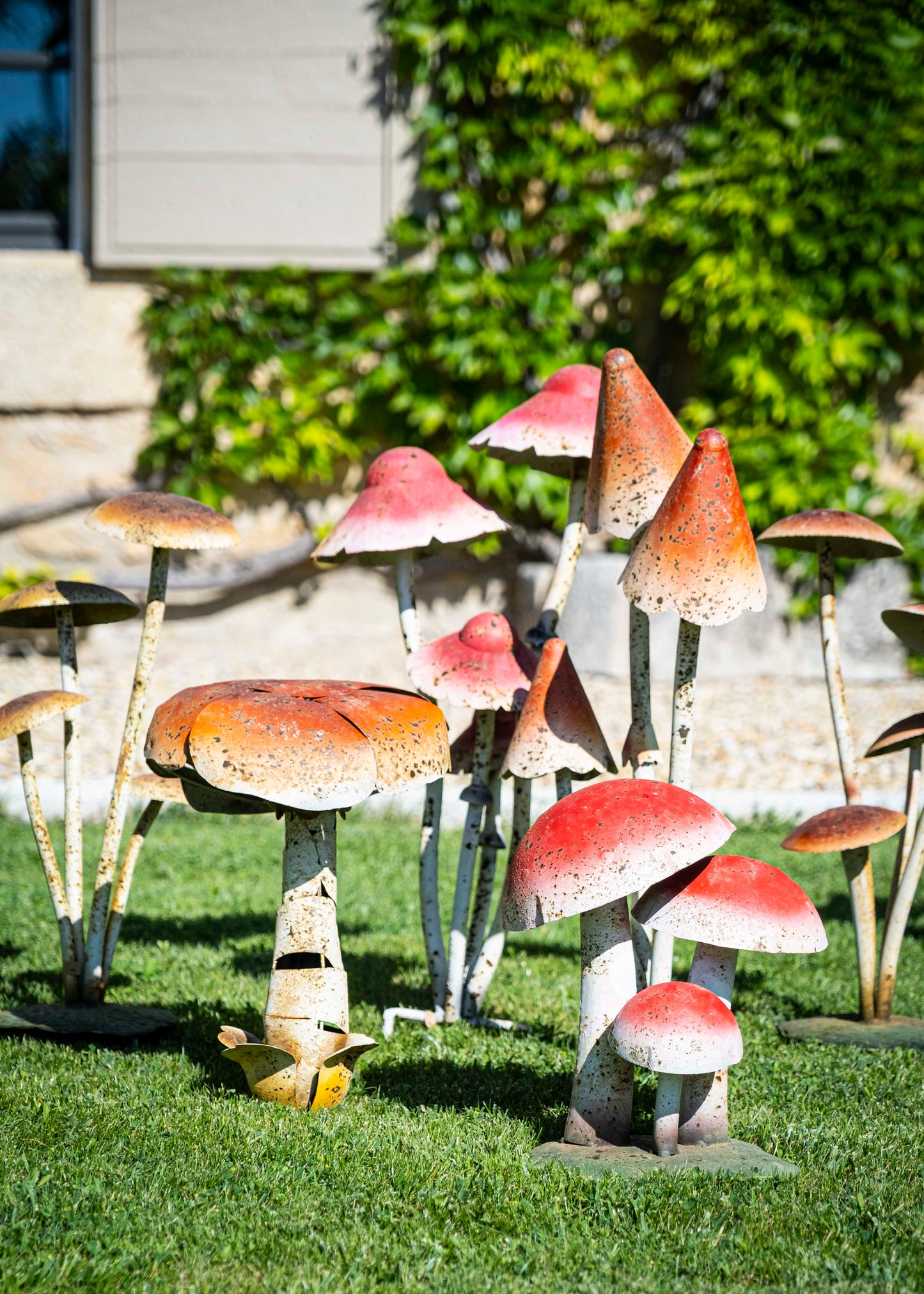 Les champignons