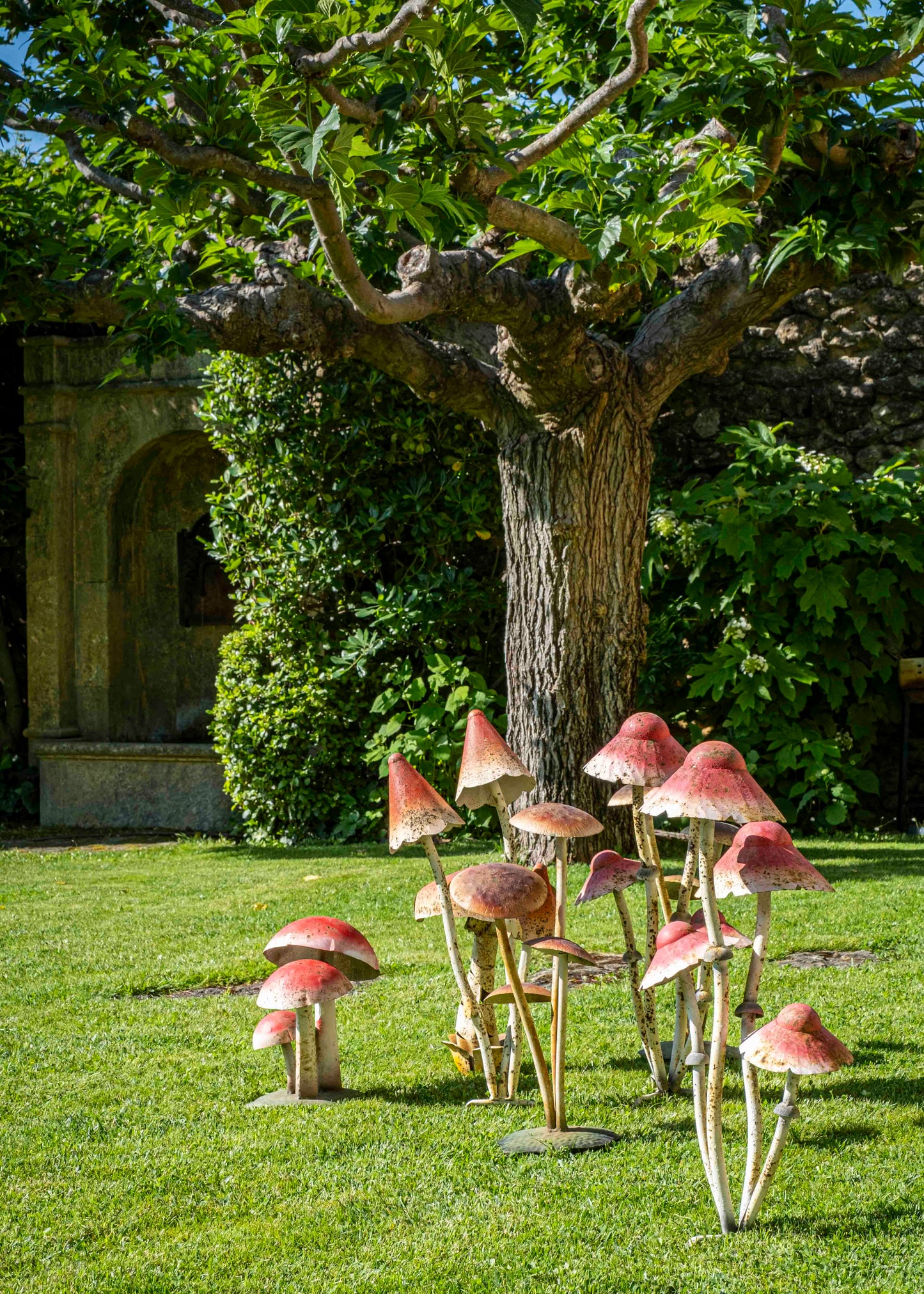 Les champignons