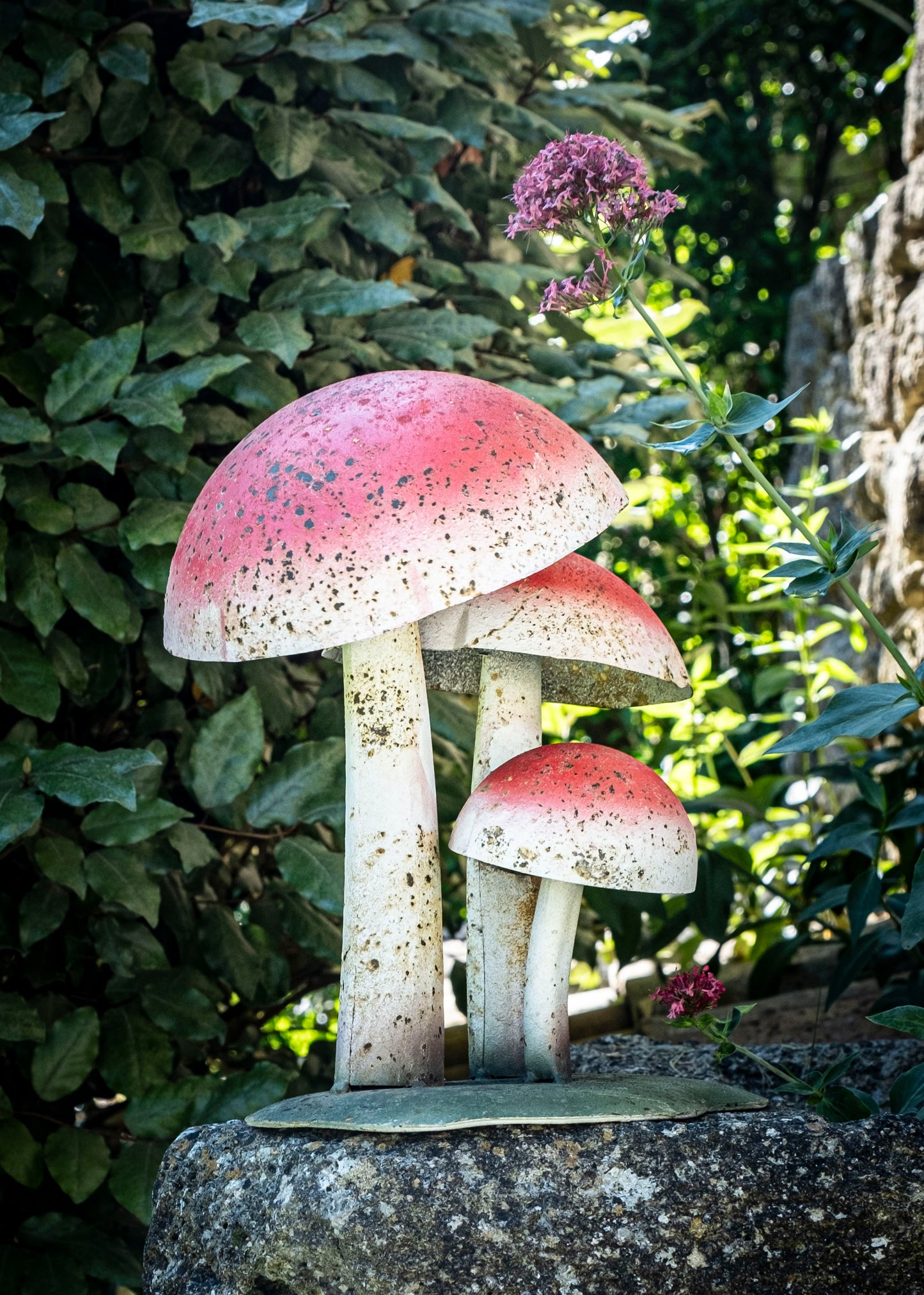 Les champignons