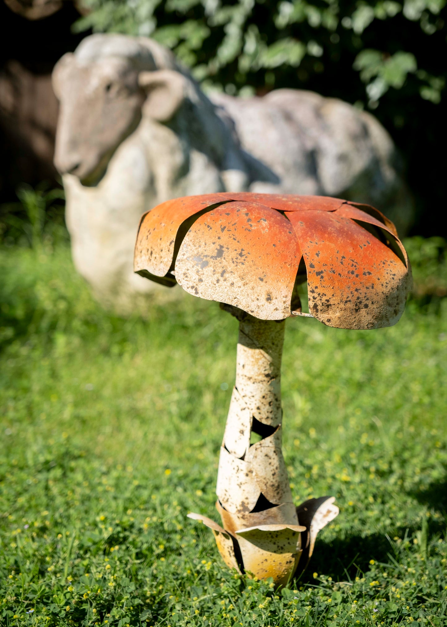 Les champignons