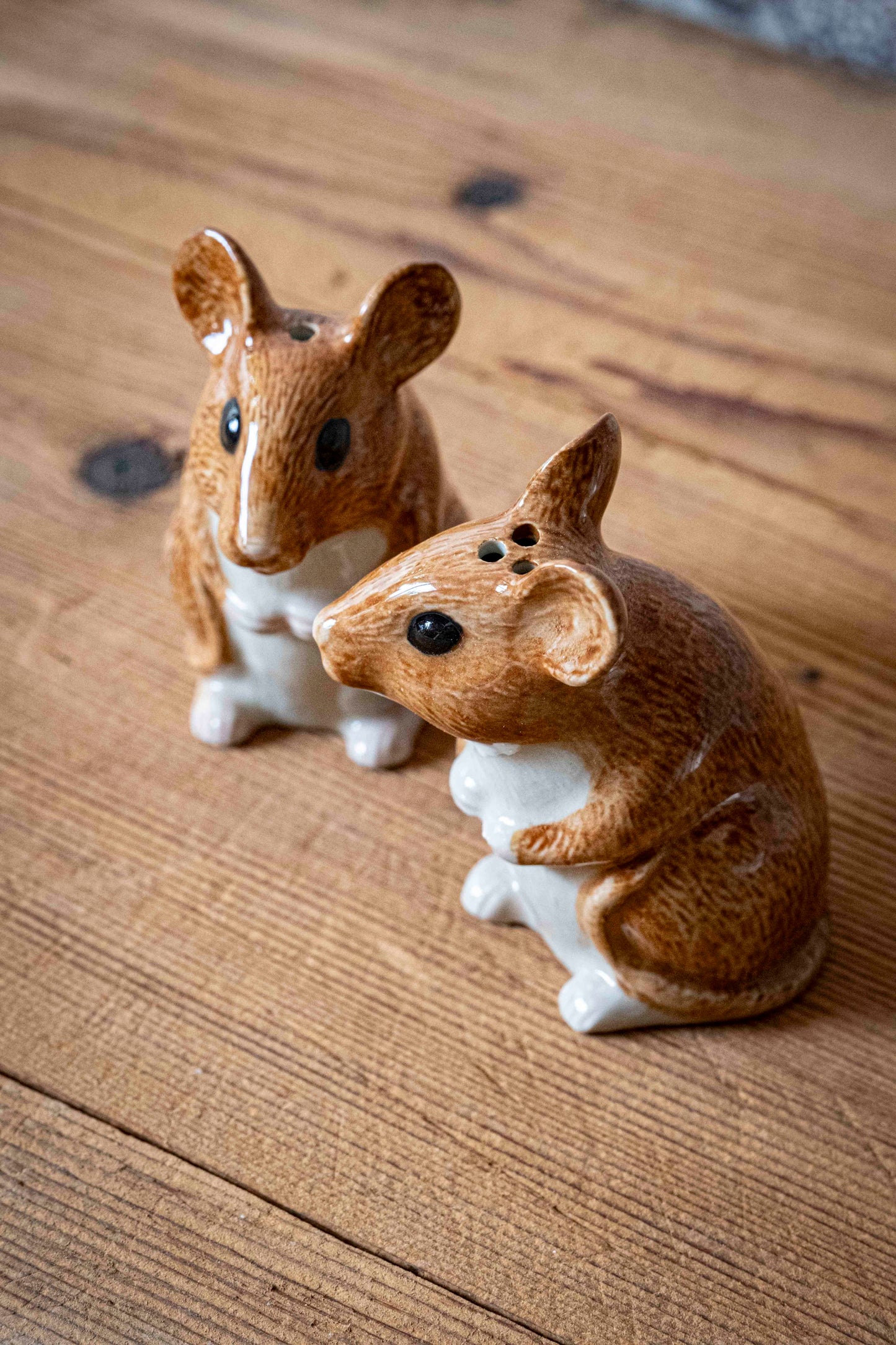 Les souris - sel & poivre