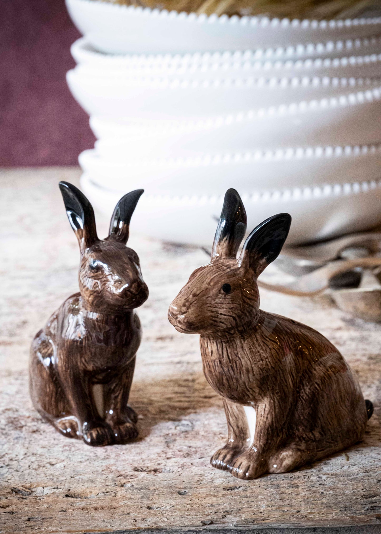 Les lièvres - sel & poivre
