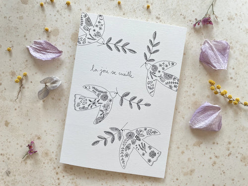 Charger l&#39;image 1 dans la galerie. Cartes postales - Papillonnage