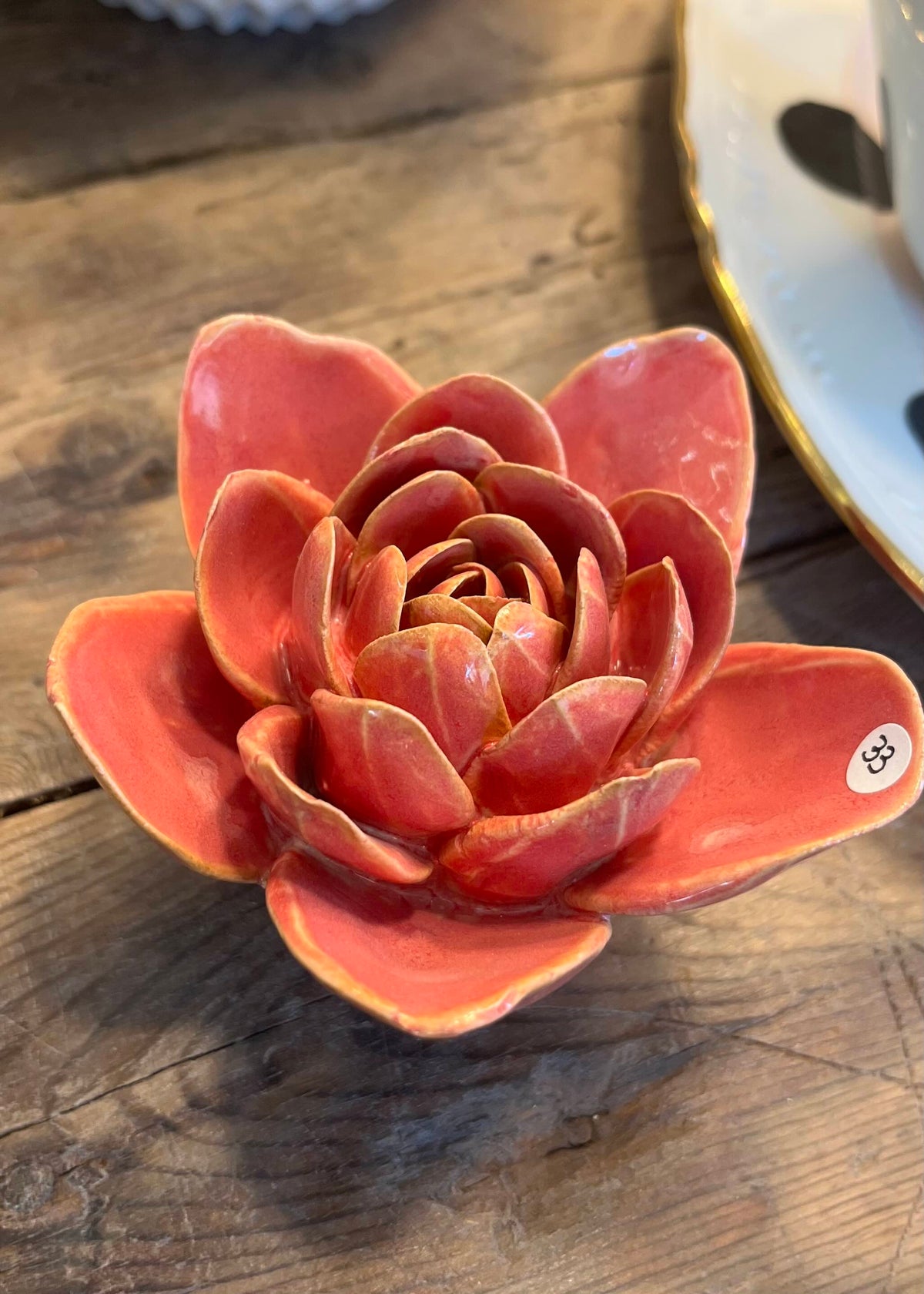La narcisse rose