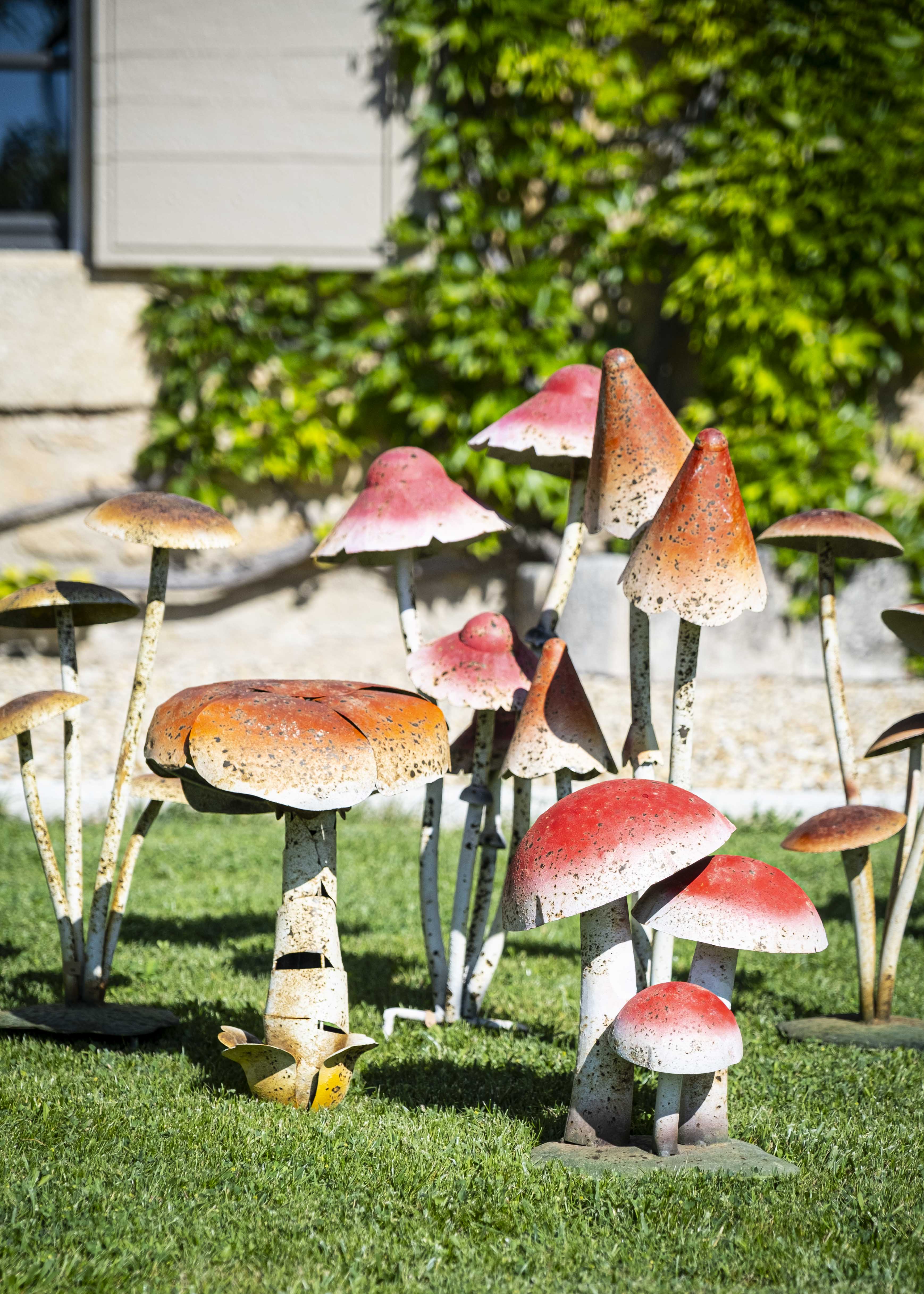 Les champignons