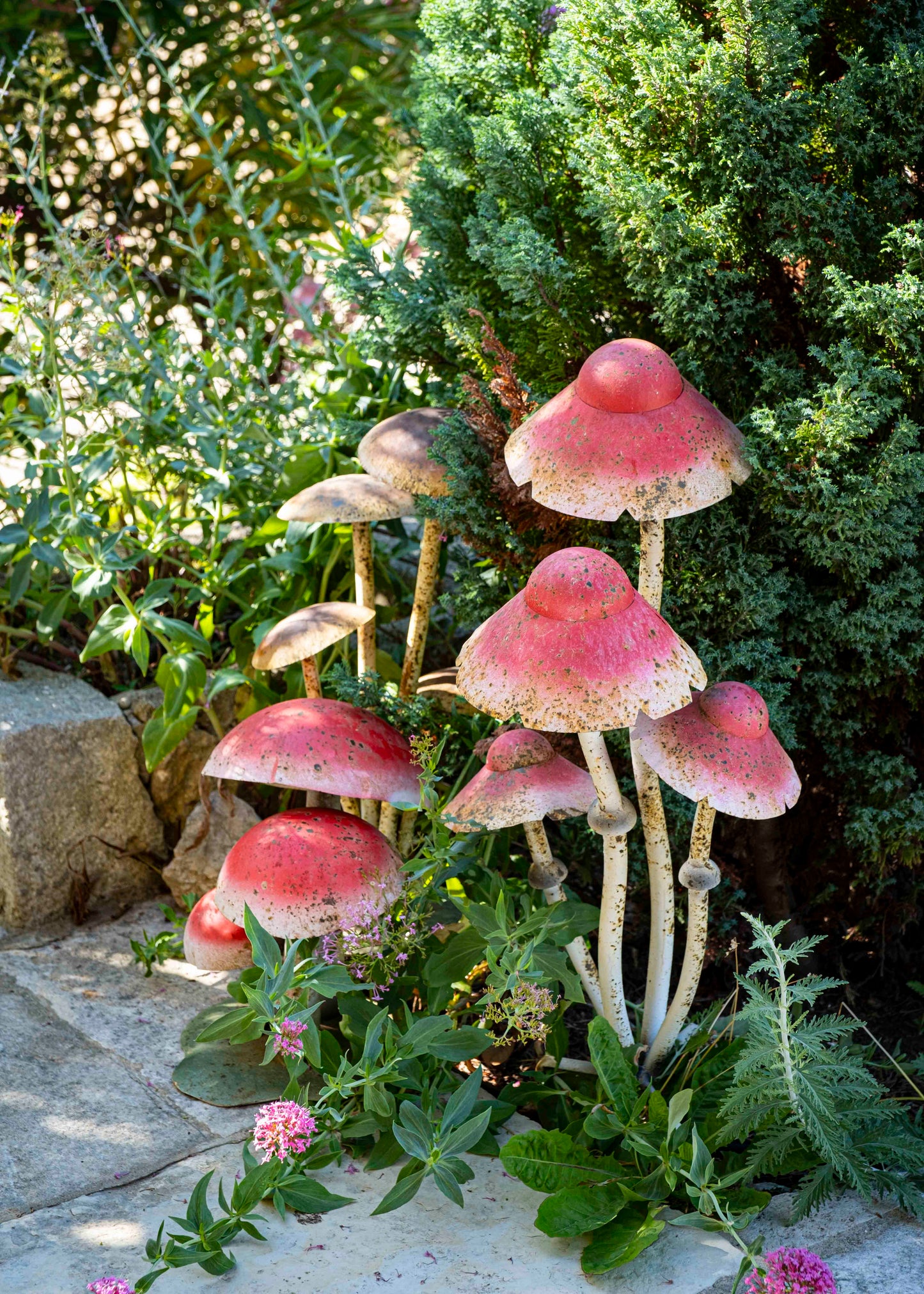 Les champignons
