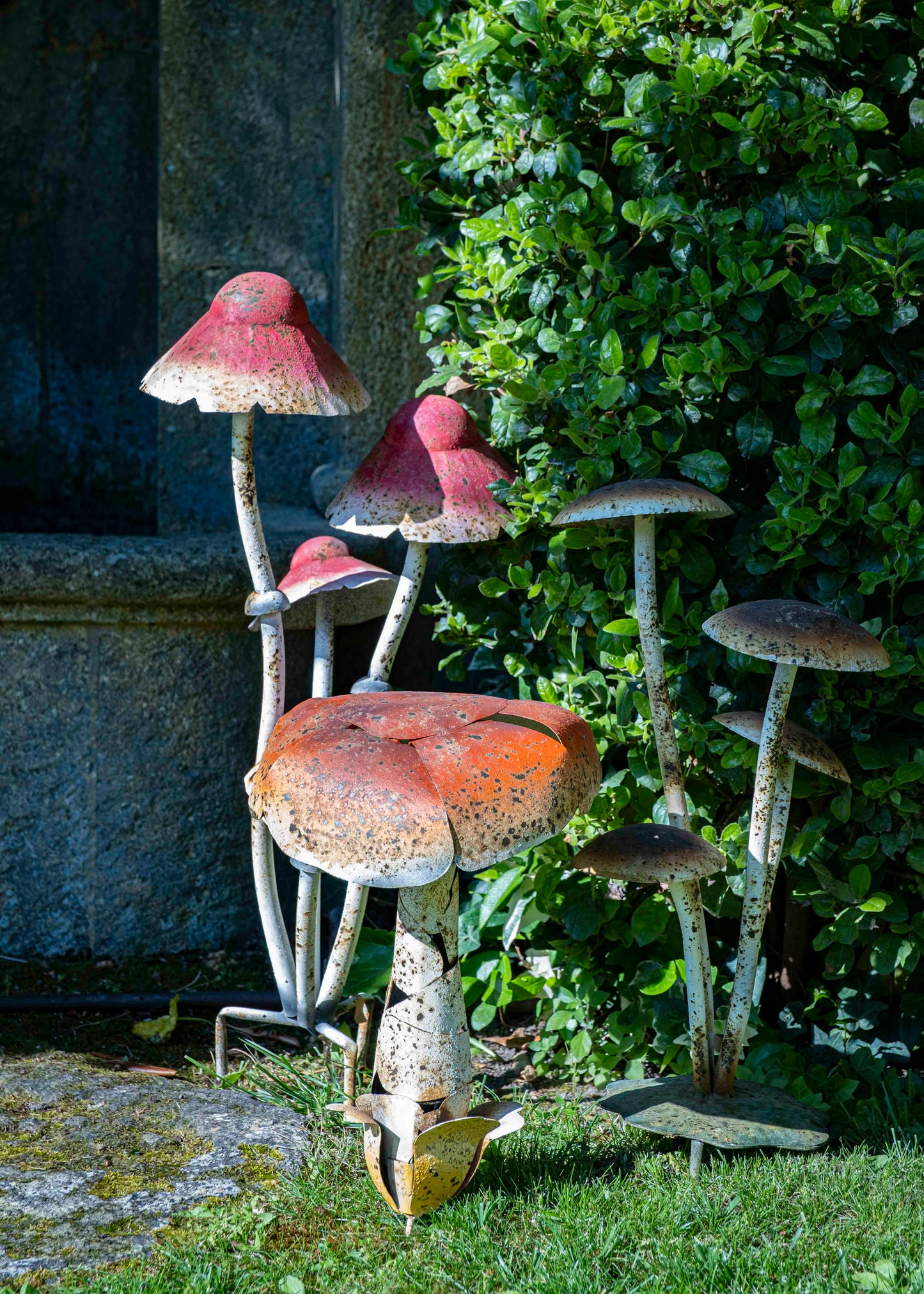 Les champignons