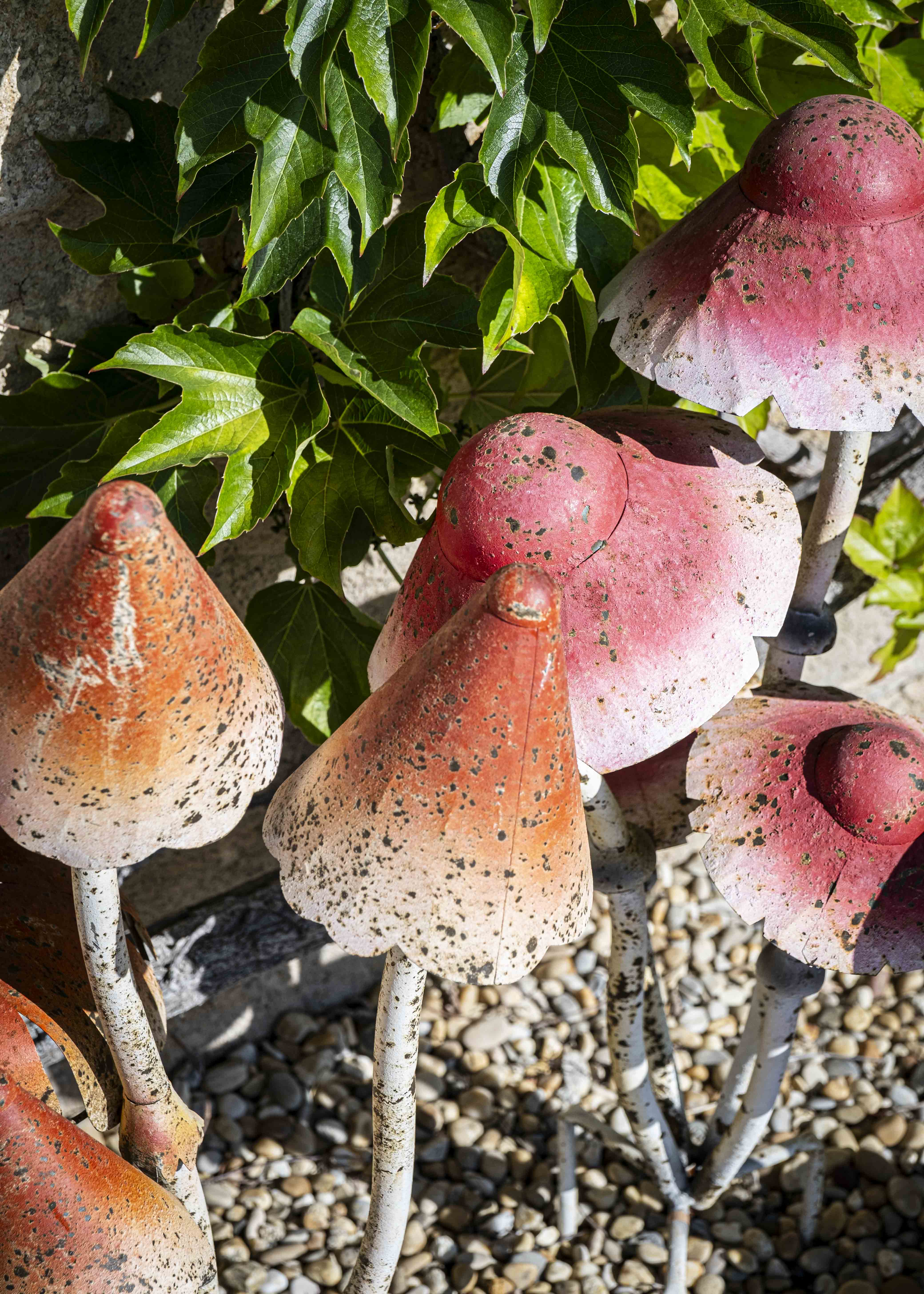 Les champignons
