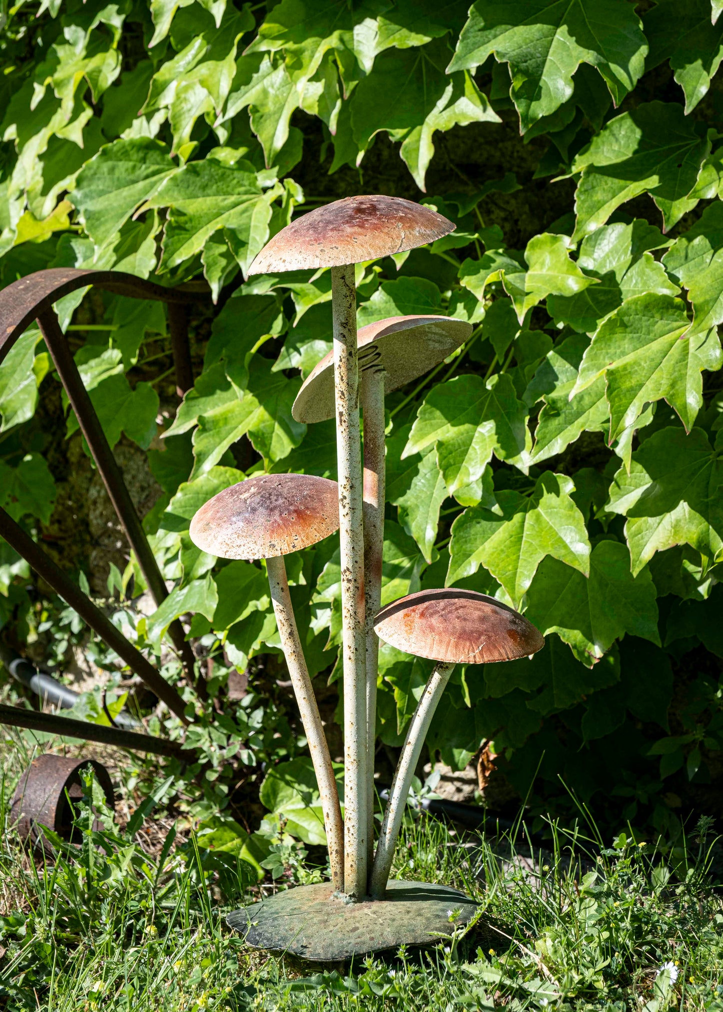 Les champignons