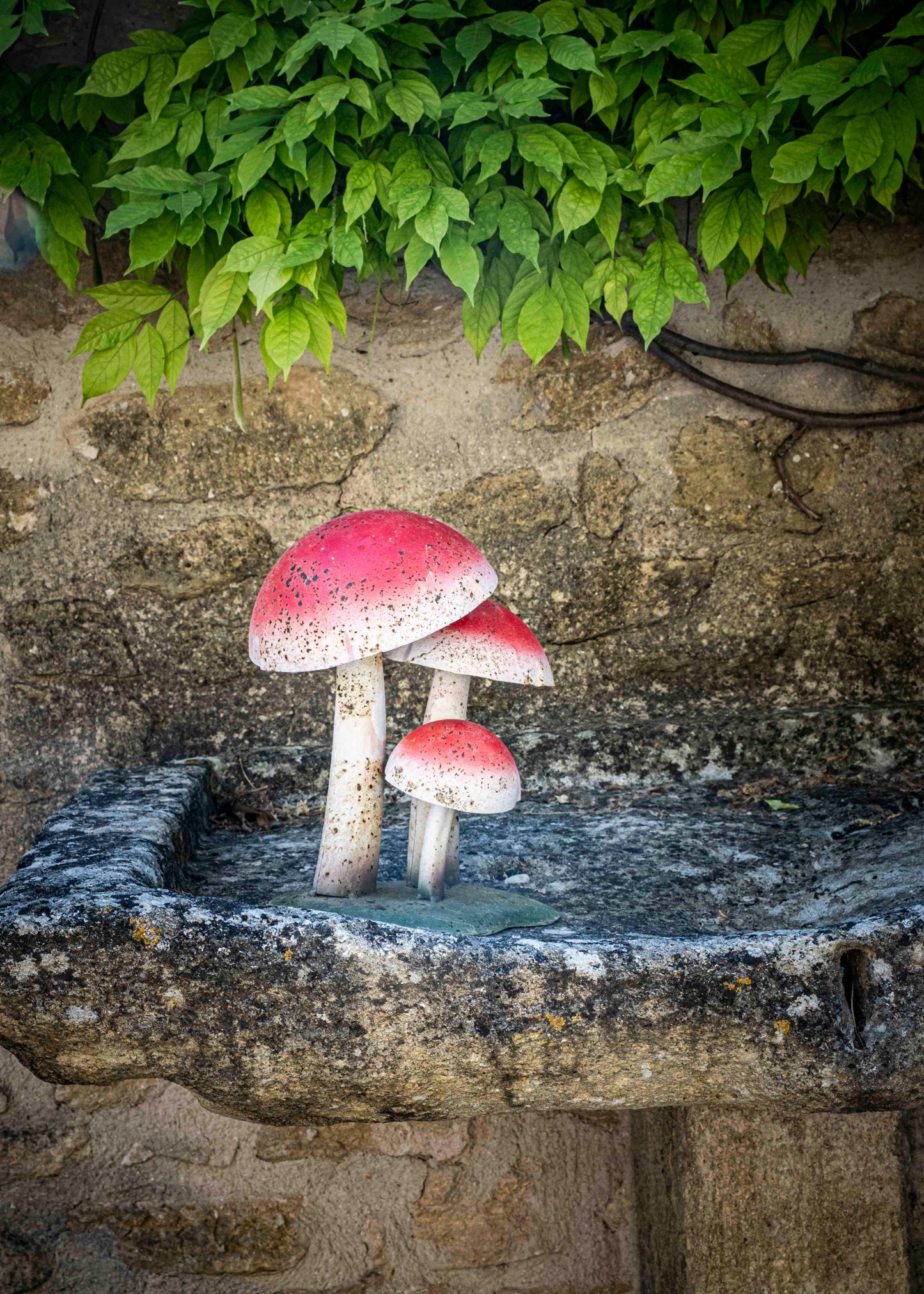 Les champignons