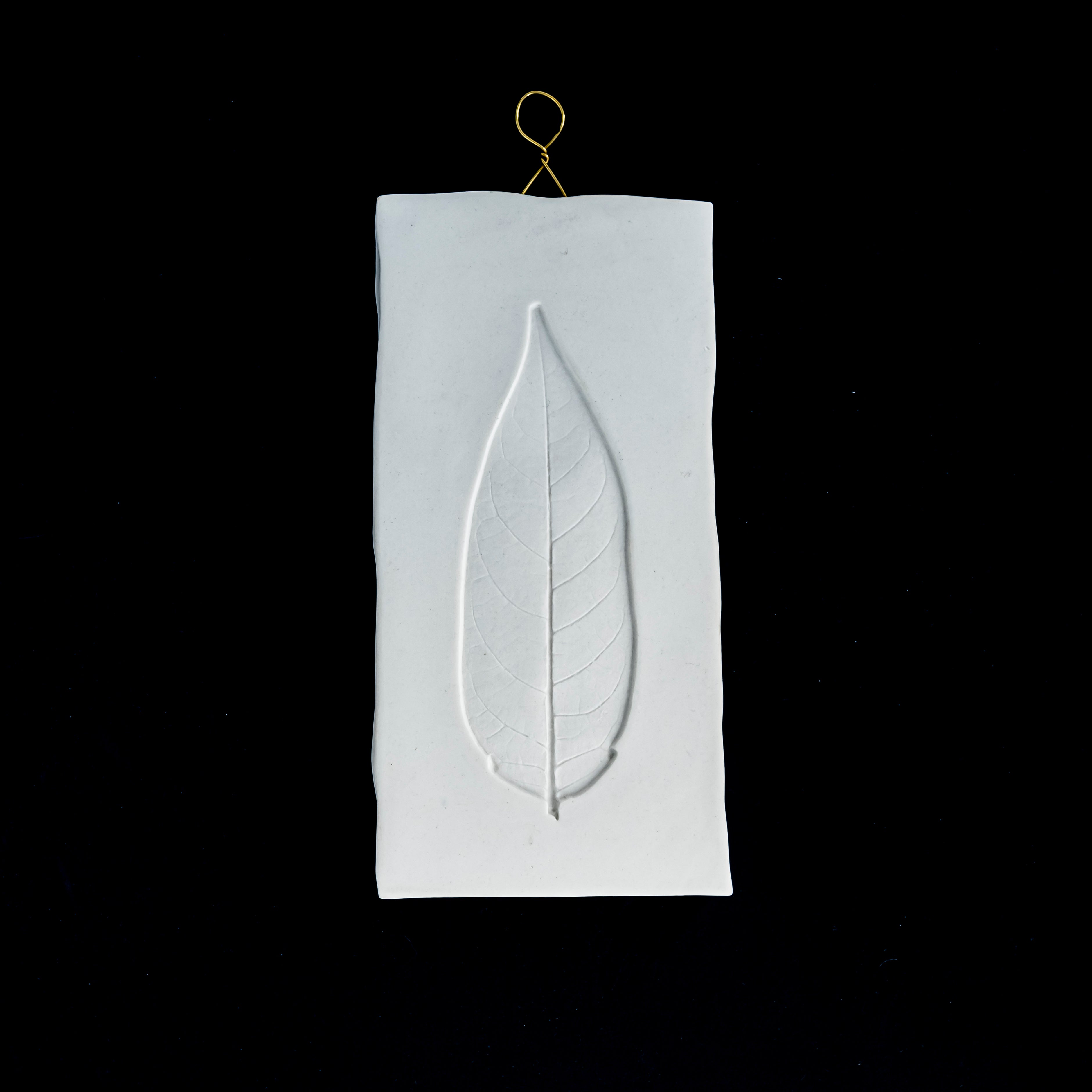 Empreinte - Feuille 1