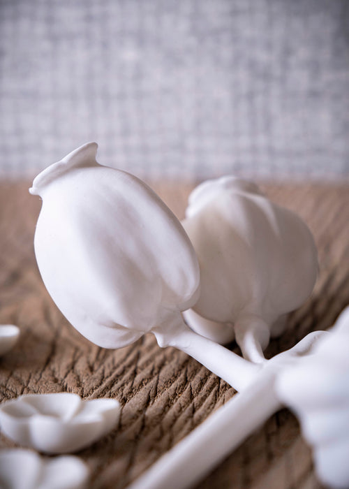 Charger l&#39;image 1 dans la galerie. Enkianthus