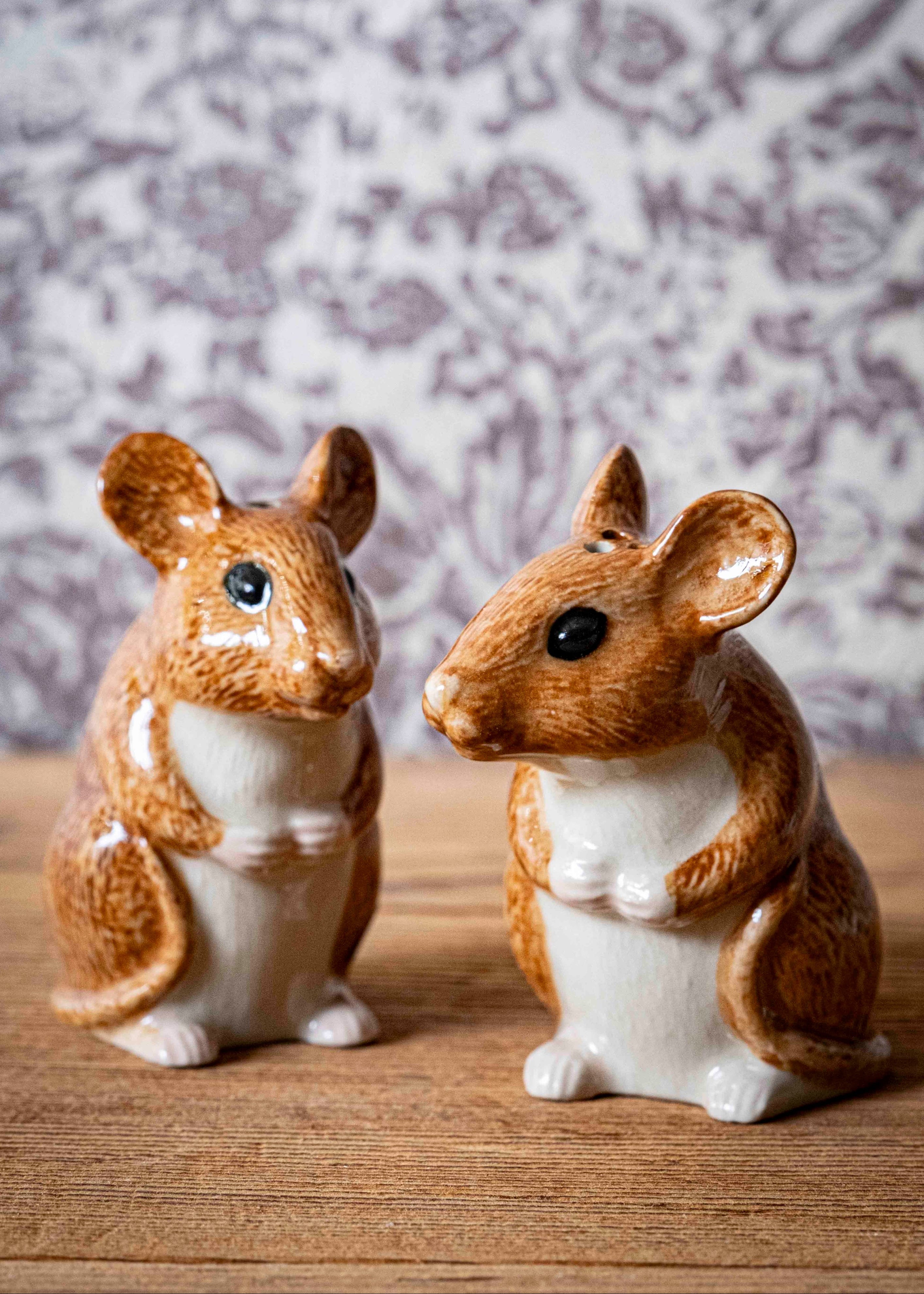 Les souris - sel & poivre