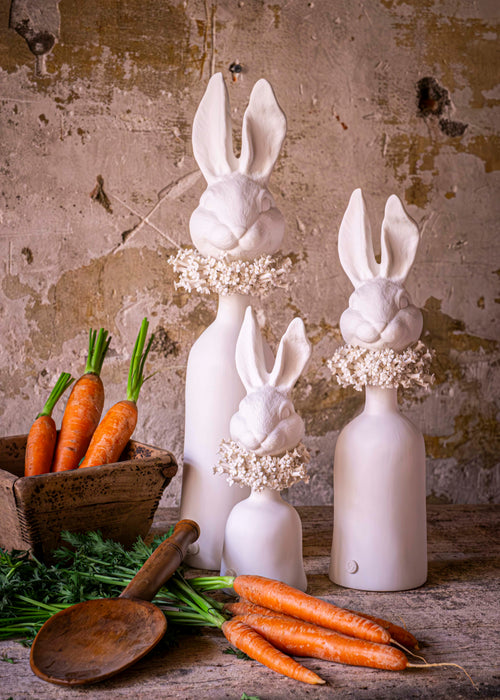 Charger l&#39;image 1 dans la galerie. Octave