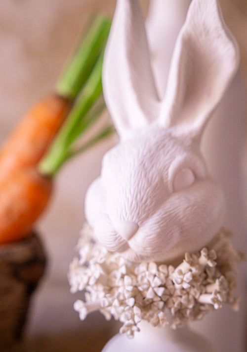 Charger l&#39;image 1 dans la galerie. Octave