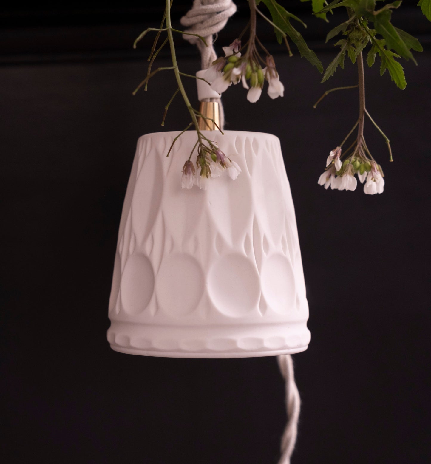 Claudette, Claudine, Claudia