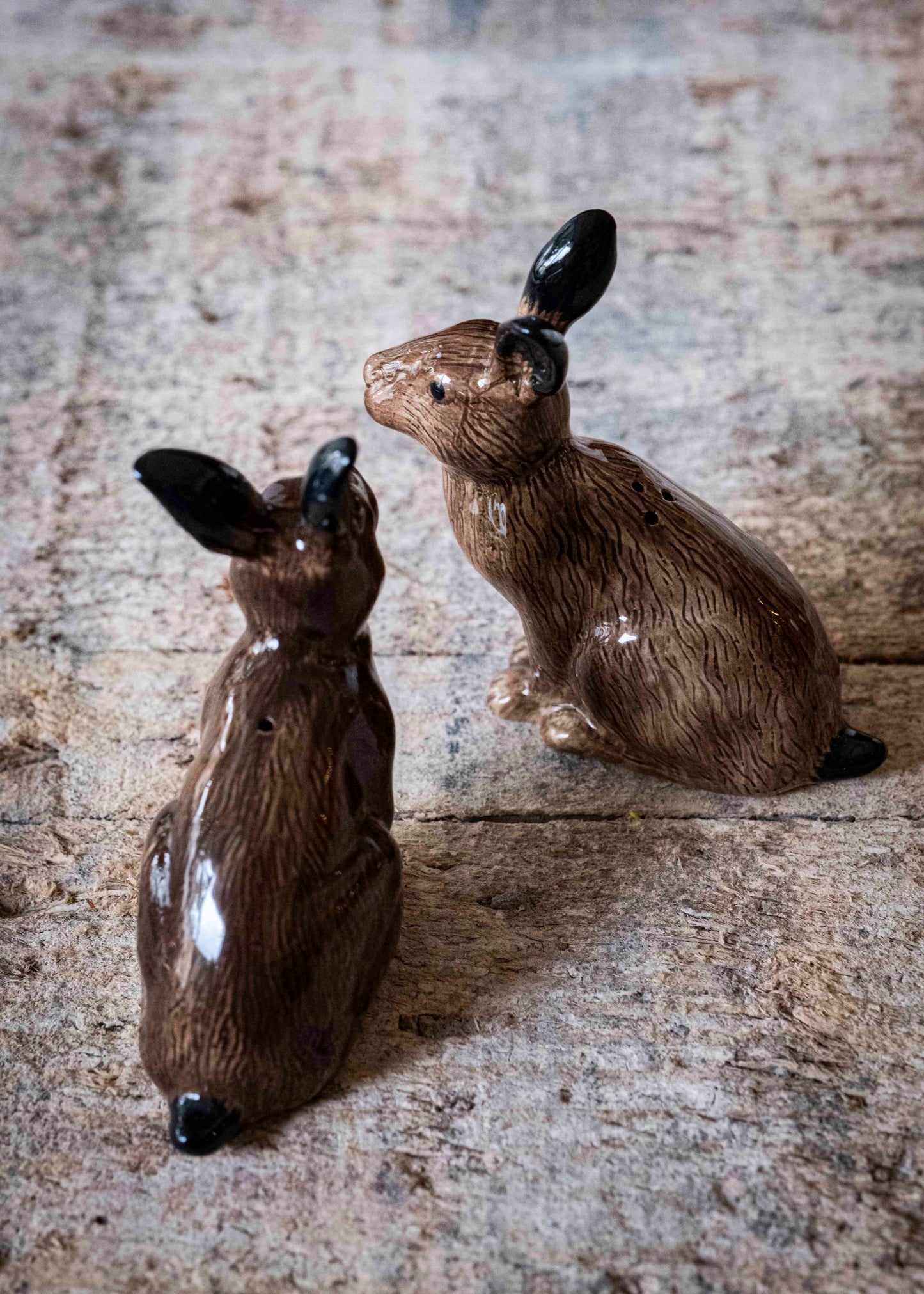 Les lièvres - sel & poivre