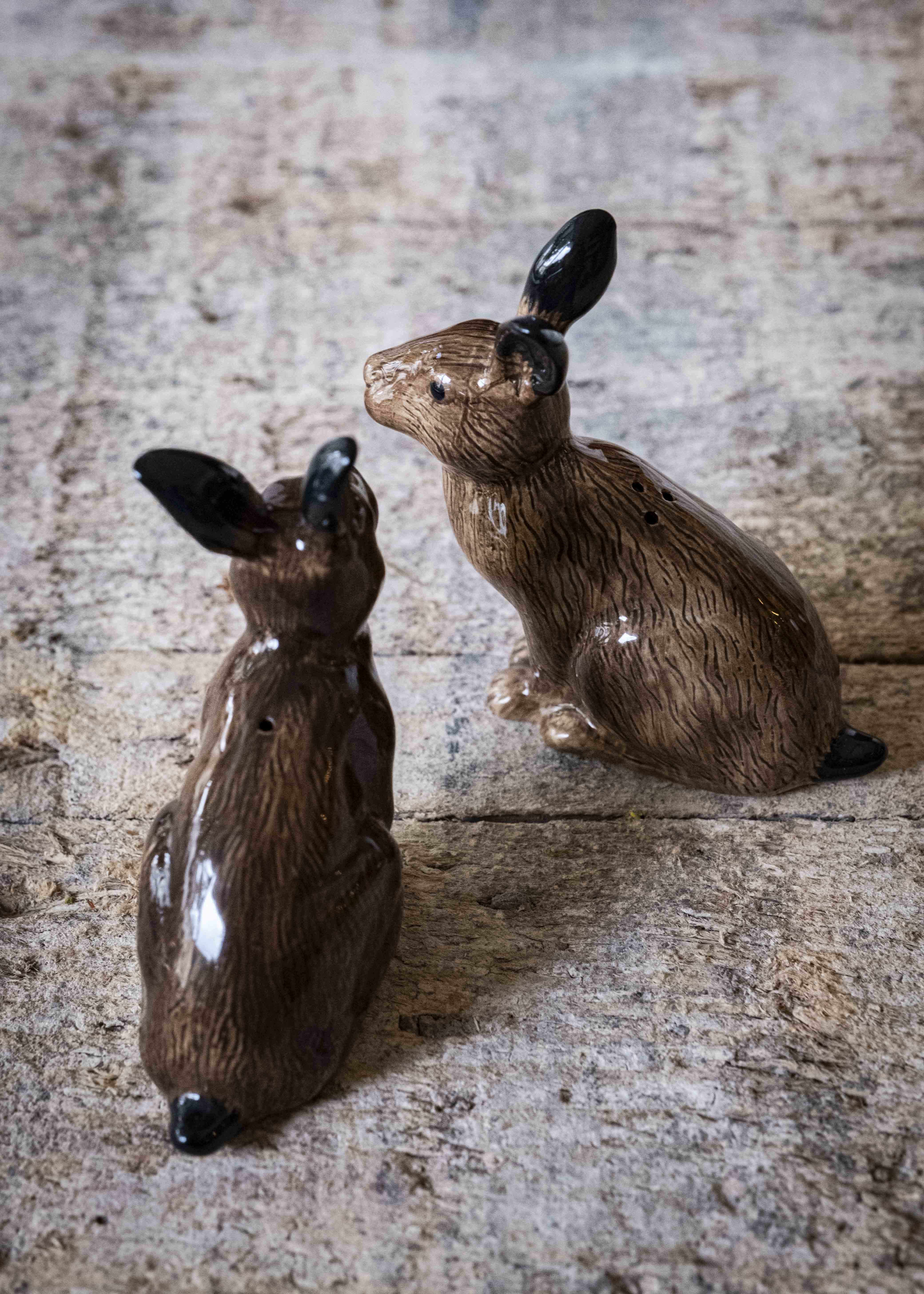 Les lièvres - sel & poivre