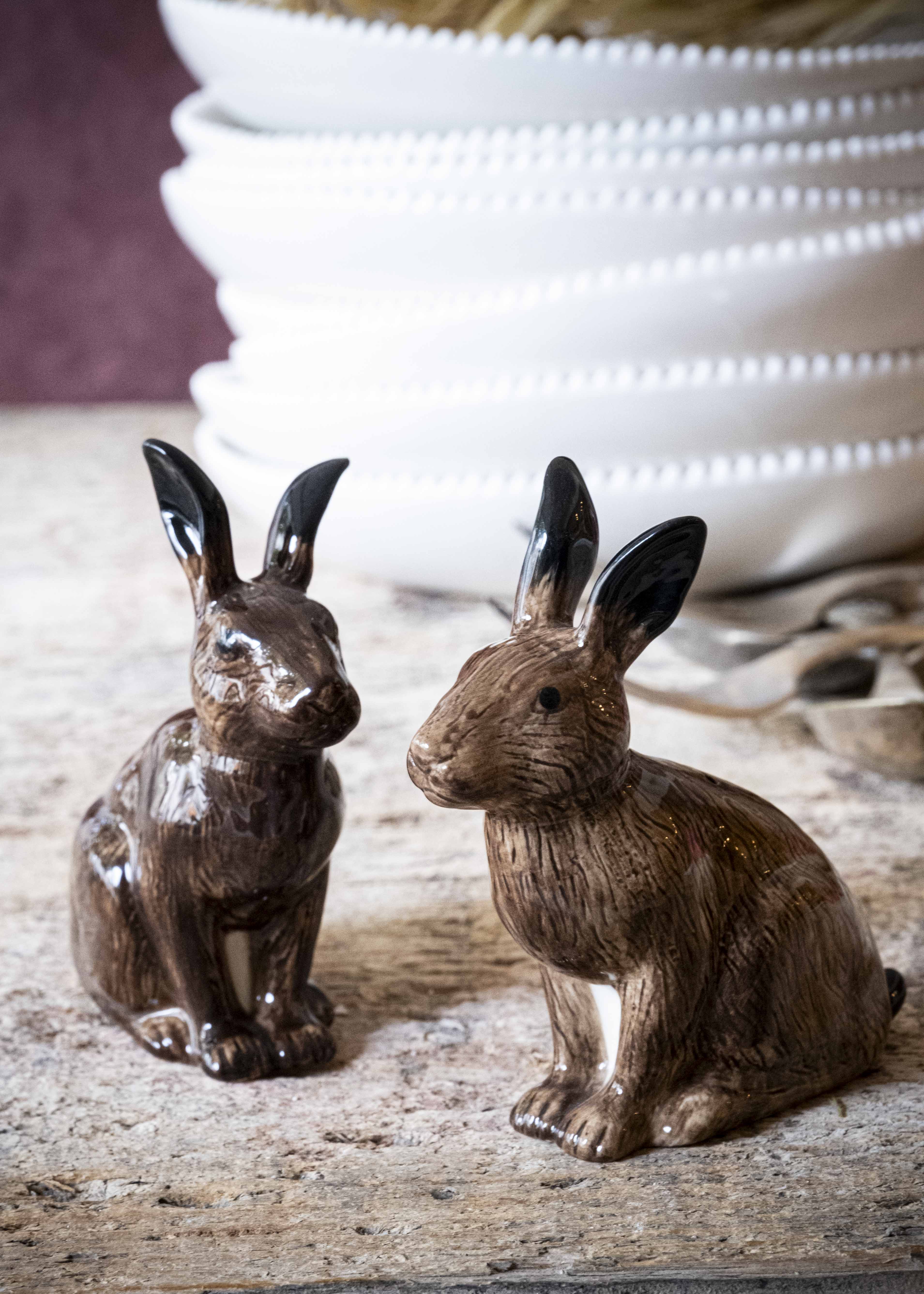 Les lièvres - sel & poivre