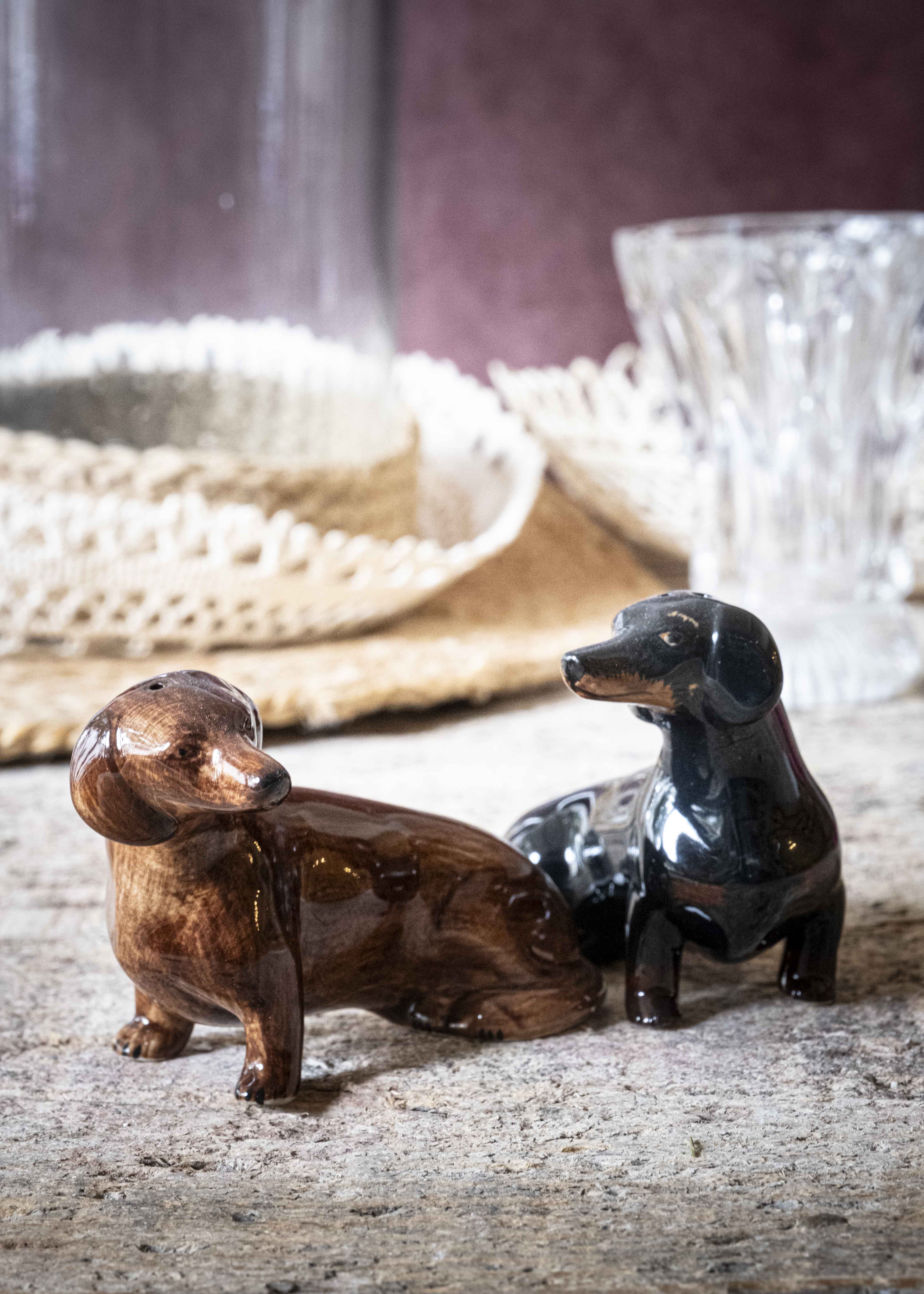 Les teckels - sel & poivre