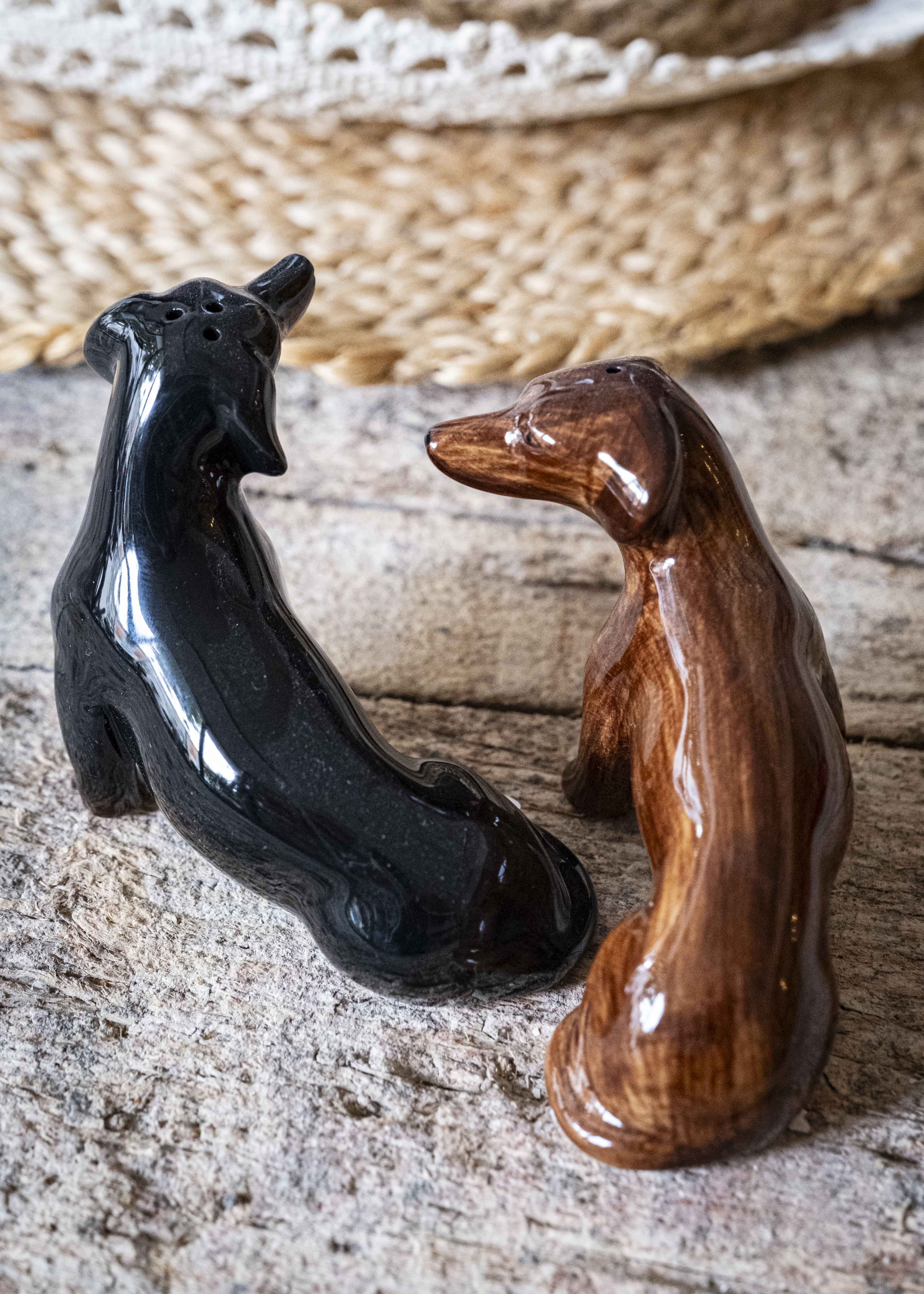 Les teckels - sel & poivre