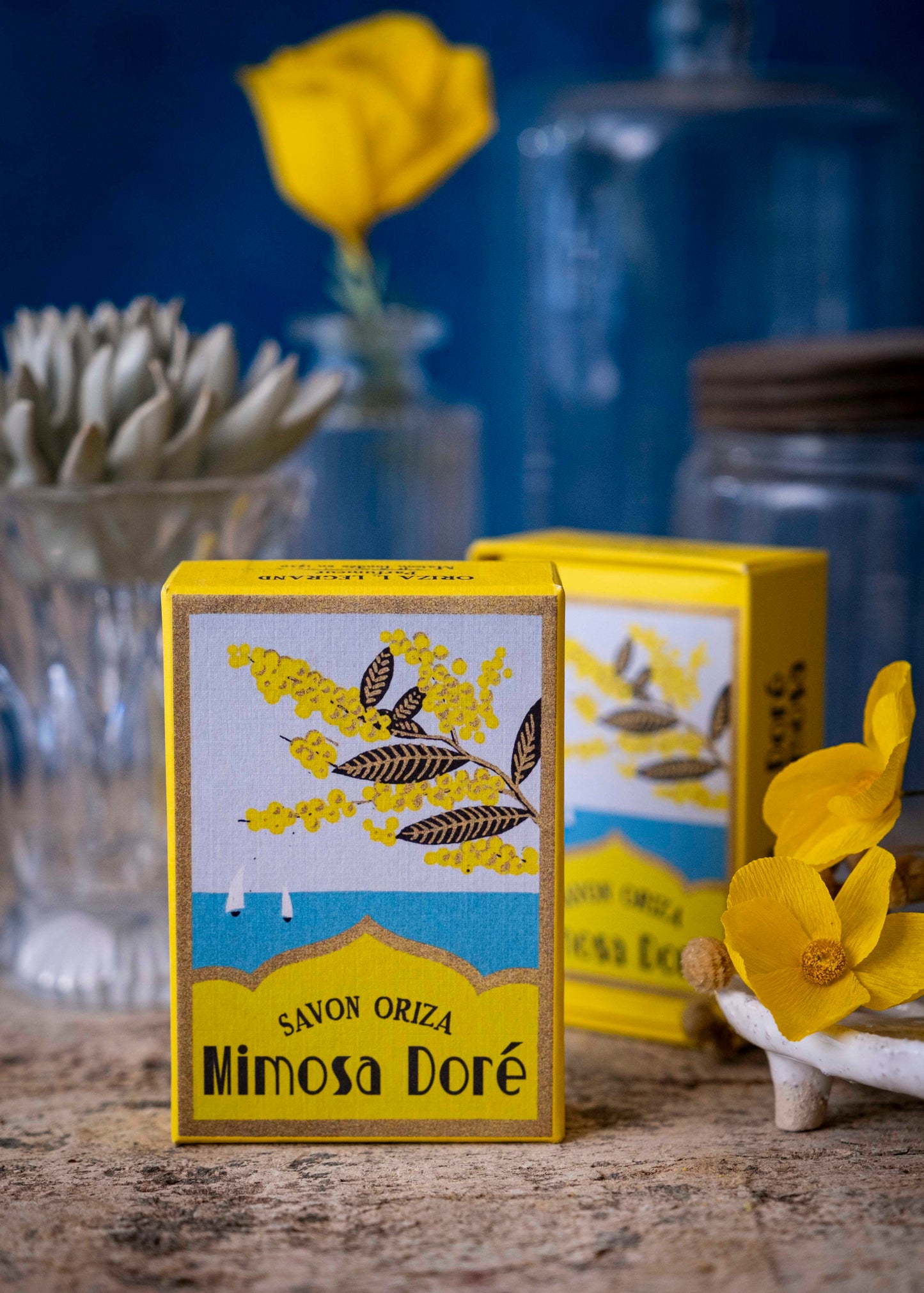 Mimosa doré - Oriza