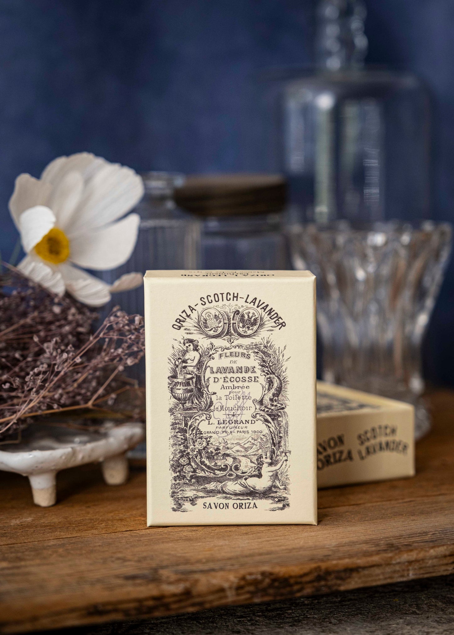 Scotch lavander - Oriza