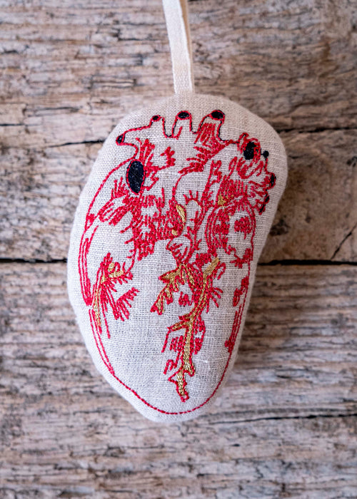 Charger l&#39;image 1 dans la galerie. Le cœur anatomique