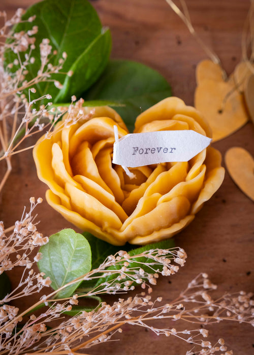 Charger l&#39;image 1 dans la galerie. Forever - bougie